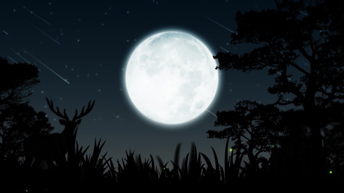 4K唯美的夏夜月光森林背景