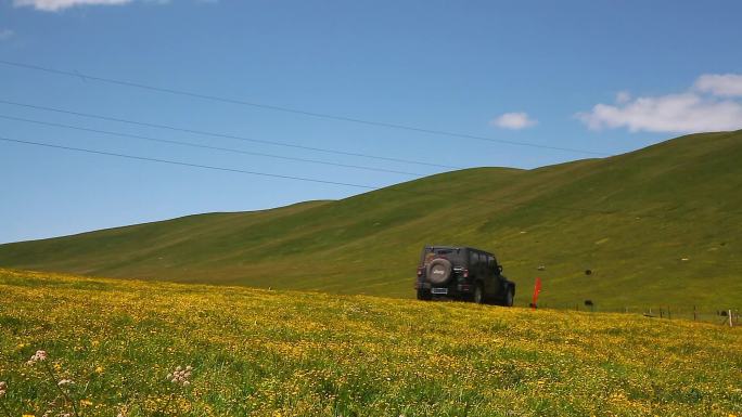 蓝天白云草原山坡上行驶的汽车