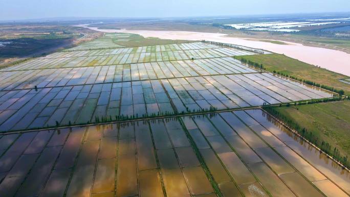 黄河水稻农业平原大地河流