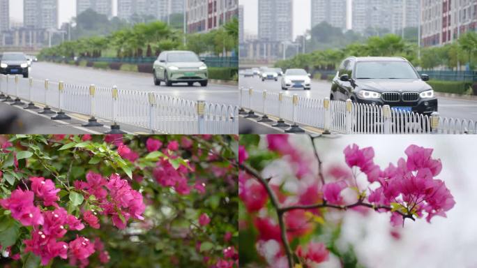 公路马路边人行道花朵盛开视频空镜