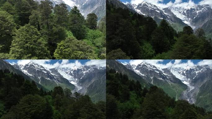 越过森林看梅里雪山主峰卡瓦格博 (18)