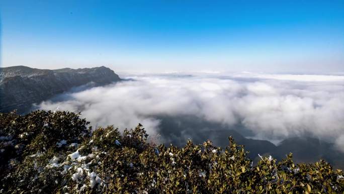 重庆金佛山：雪后云海绮丽风光