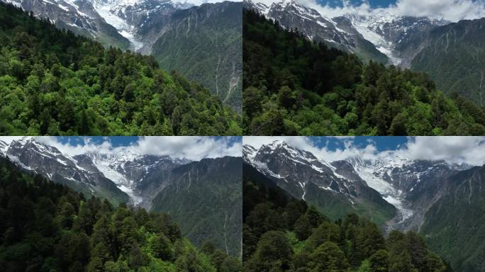 越过森林看梅里雪山主峰卡瓦格博 (18)