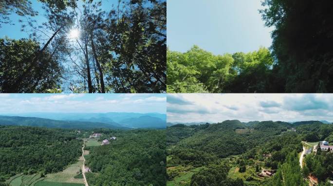 树木阳光风景大山航拍素材