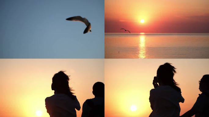 实拍唯美夕阳日落落日大海海洋海面海鸥飞翔