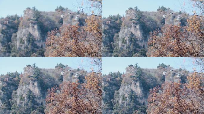 崆峒山秋天红树叶大景区旅游风景游客