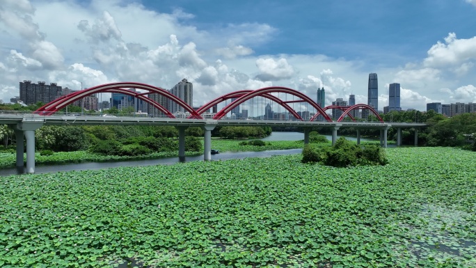 深圳洪湖公园芙蓉桥蓝天白云航拍