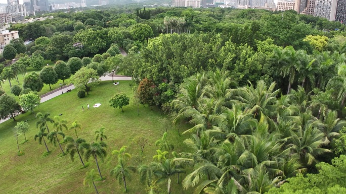 深圳交通银行大厦