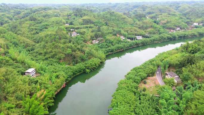 航拍长宁县竹林隧道