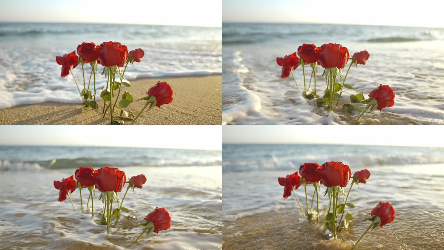 沙滩上的玫瑰花