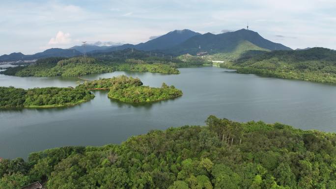 4k深圳水库航拍