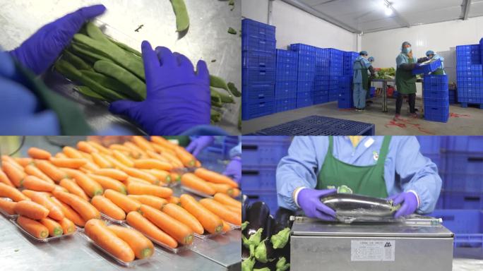 食品加工车间蔬菜食品生产线