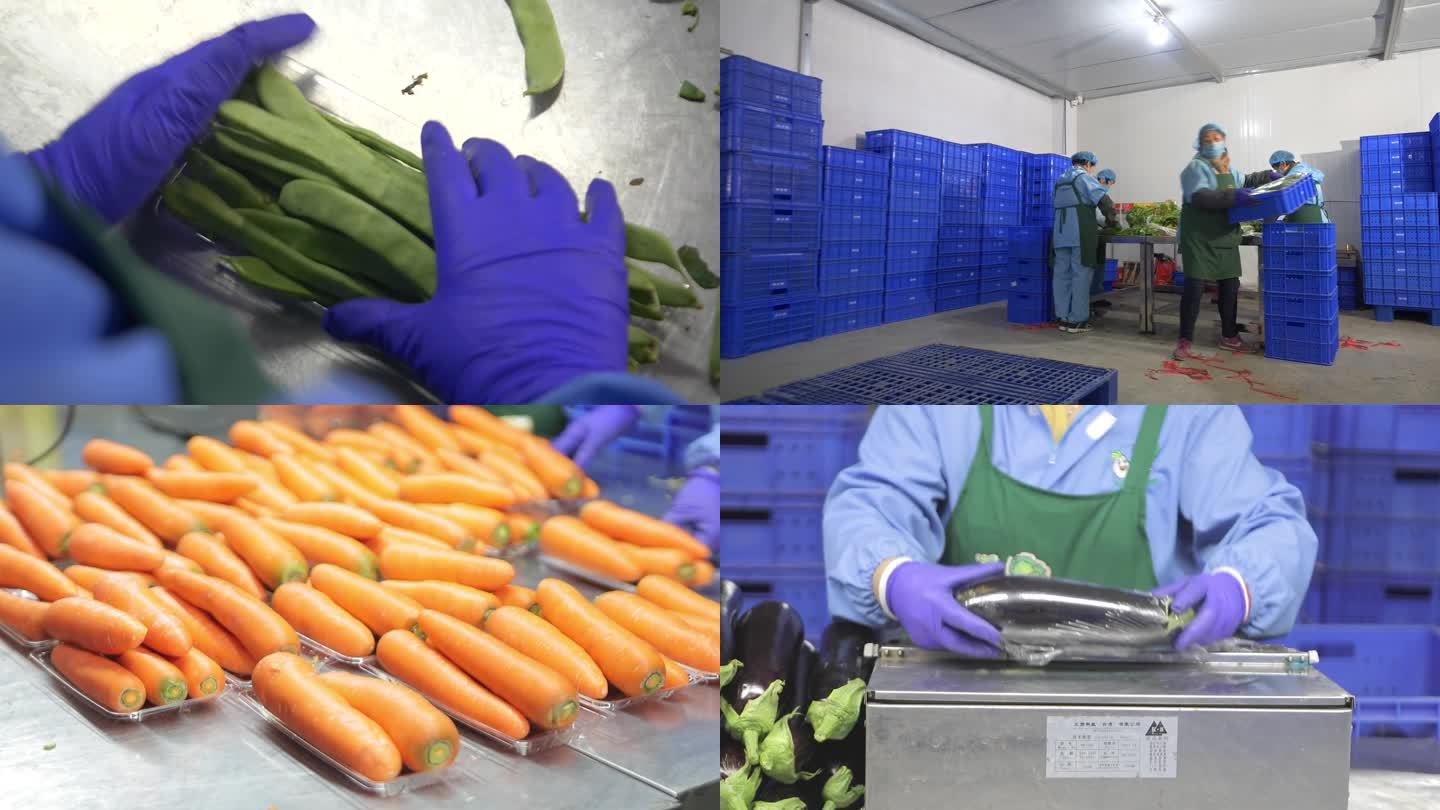 食品加工车间蔬菜食品生产线