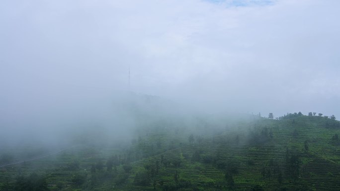 高山大山里的云雾