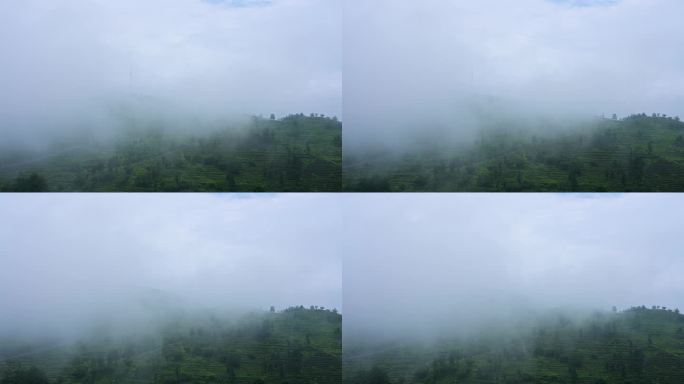 高山大山里的云雾