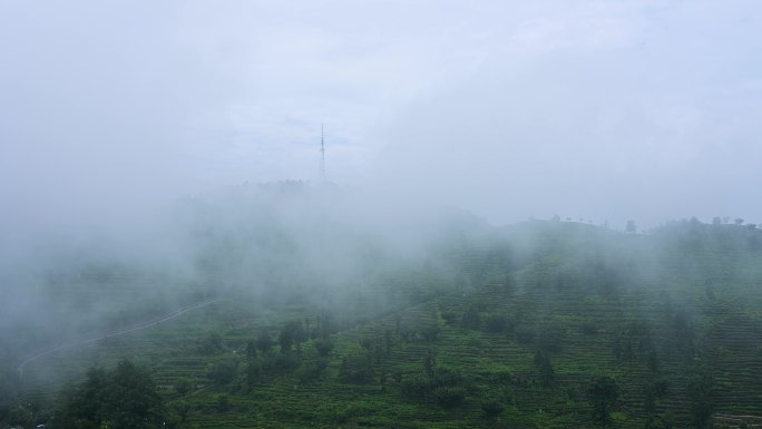 山里的云雾