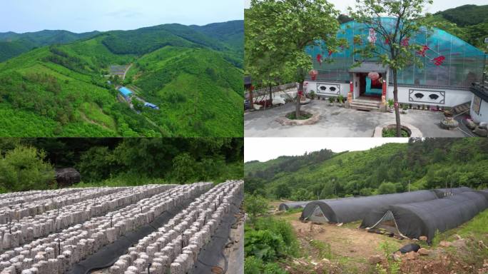 家庭农场 沟峪经济