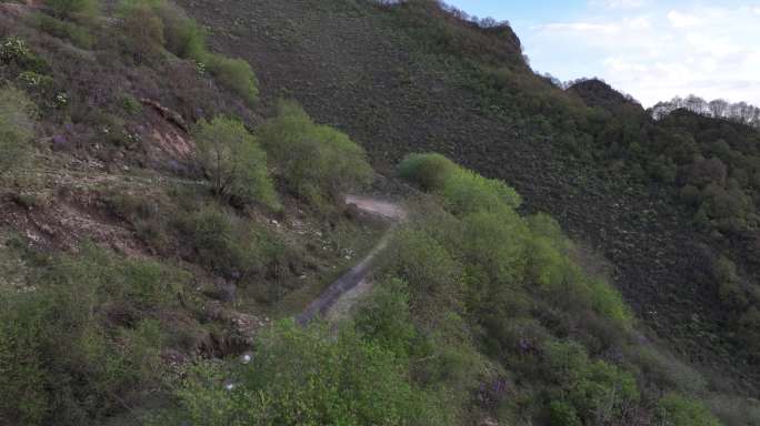 生态环境 原始森林 寿乐镇 航拍 乐都区