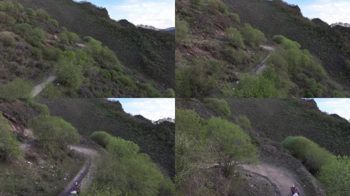 生态环境 原始森林 寿乐镇 航拍 乐都区