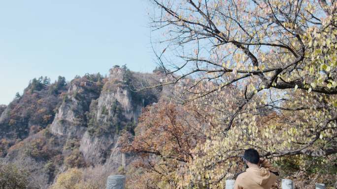 崆峒山秋天红树叶大景区旅游风景游客