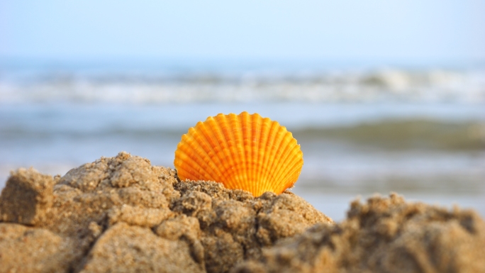 沙滩贝壳海浪冲刷贝壳海滩女孩听海沙滩海螺