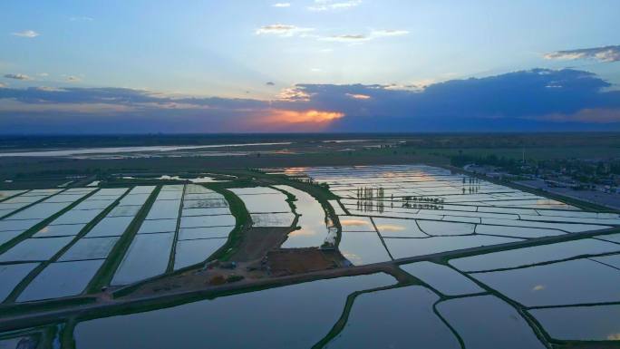 黄河平原稻田落日夕阳