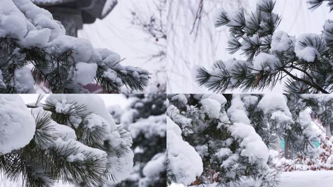 冬季飘雪风景