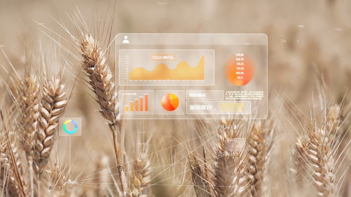 科技智慧农业金色麦田收割数据
