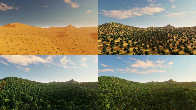 沙漠治理 沙漠变森林 碳中和 沙漠延时