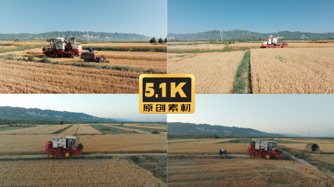 5K-收割机在田野里行驶，金色麦田