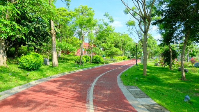 阳光林荫小路 跑道 绿道 骑行道