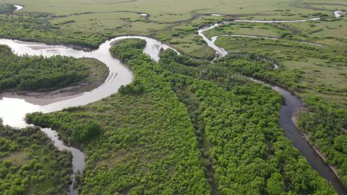额尔古纳湿地