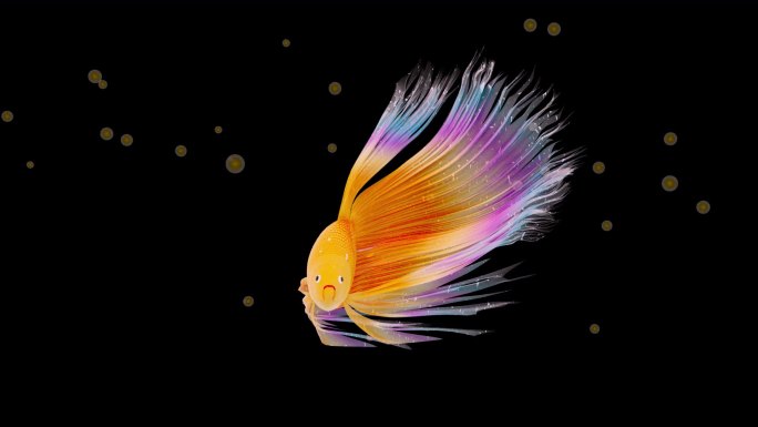 金色唯美的鱼3D动画  带透明通道