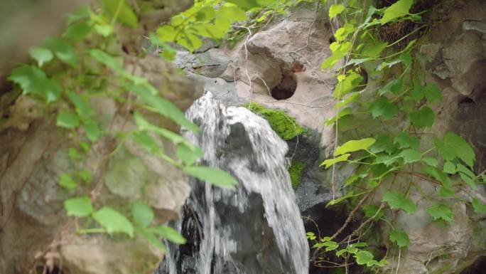 园林假山庭院