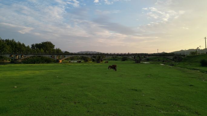 夕阳黄昏草原牛羊