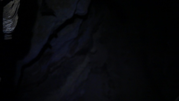 洞穴蝙蝠飞翔慢镜头