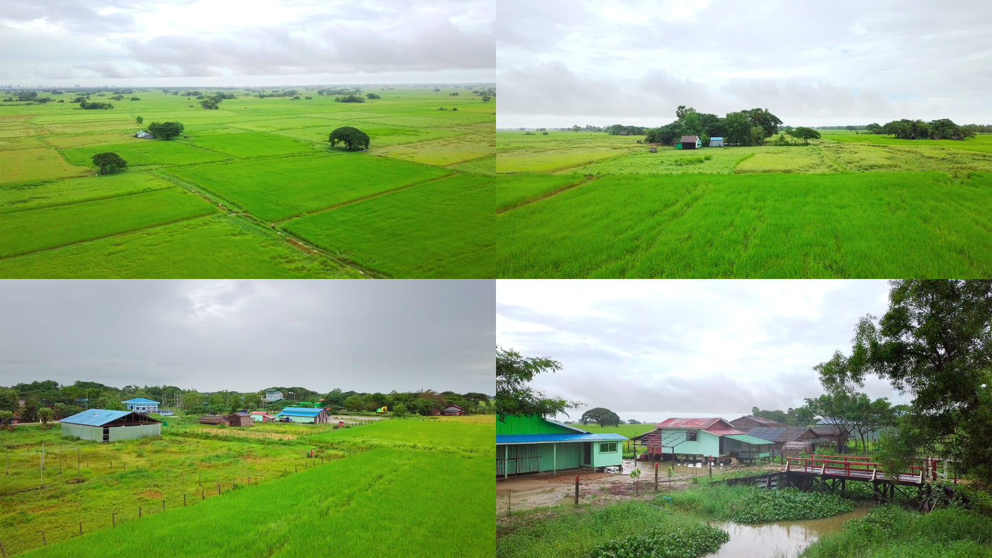 缅甸仰光小雨中的绿色田野航拍多个8个片段