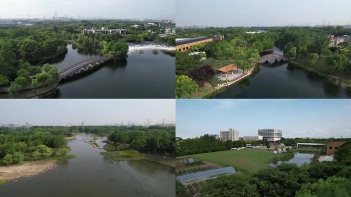 上海金海湿地公园