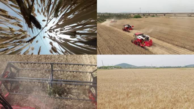 麦收土地托管农业收割机麦田收割乡村振兴
