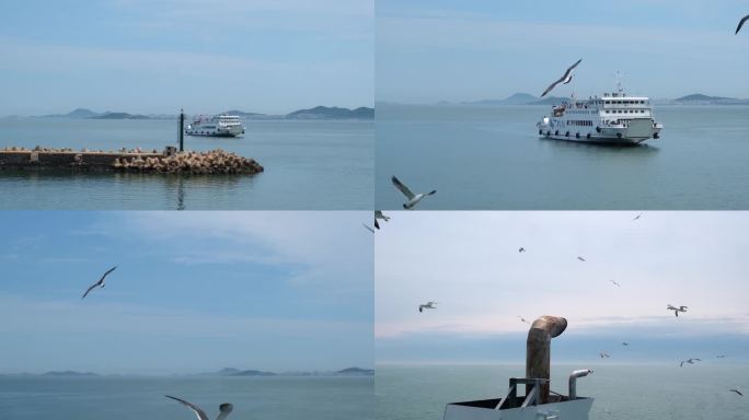实拍大海海洋海鸥海鸟飞鸟飞行飞翔轮船轮渡