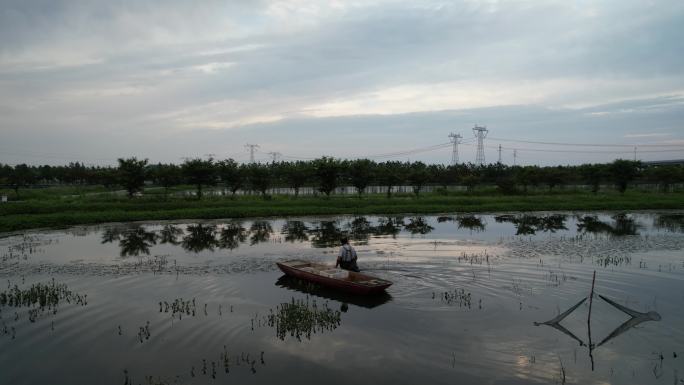 龙虾养殖 水产养殖 生态养殖 水产业