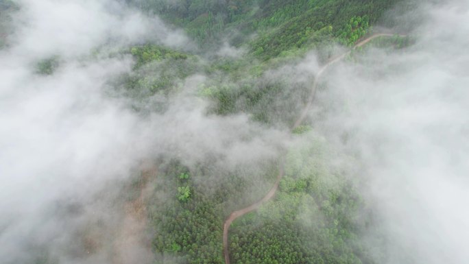 高山云端云雾