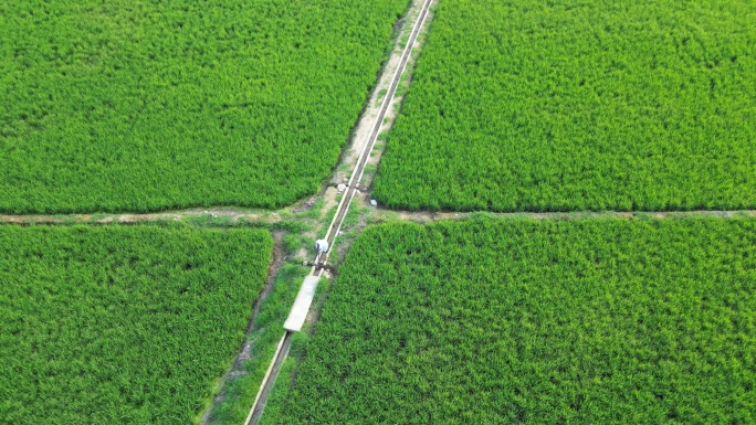 航拍唯美乡村富硒水稻农田风光风景