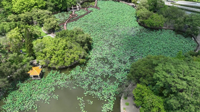 深圳罗湖区洪湖公园蓝天白云航拍