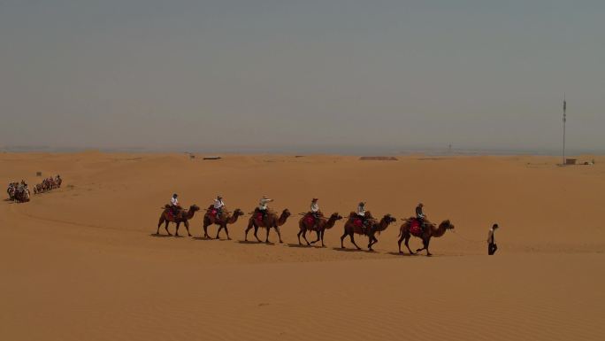宁夏中卫沙坡头景区骑骆驼