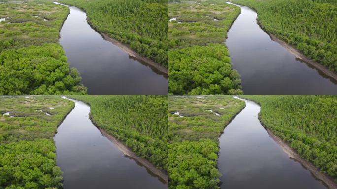 额尔古纳湿地