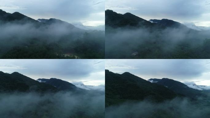 云雾缭绕的山群航拍穿云