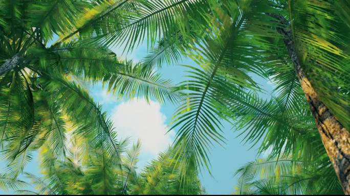 椰子树丛林