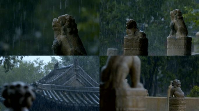 河北曲阳北岳庙雨中不同形态石狮子慢动作F