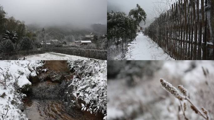 福建武夷山 桐木关挂墩雪景